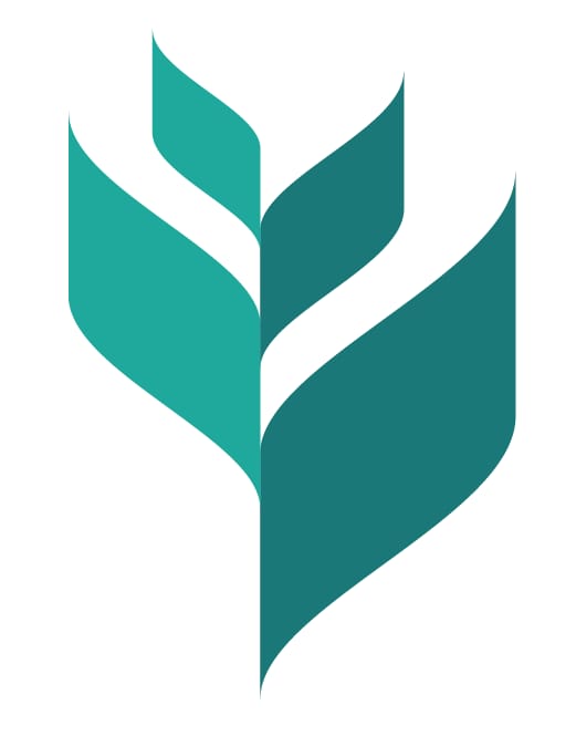 Hands holding organic soil and plant